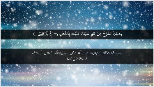 Al-Muminoon Ayah 20 - Arabic + Urdu wallpaper