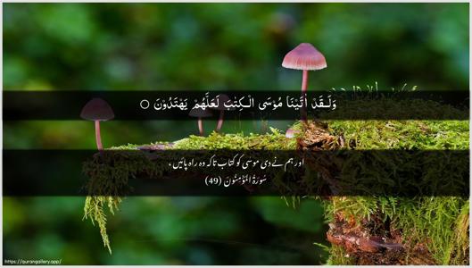 Al-Muminoon Ayah 49 - Arabic + Urdu wallpaper