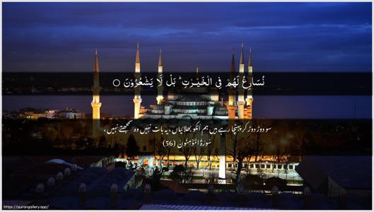 Al-Muminoon Ayah 56 - Arabic + Urdu wallpaper