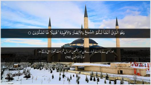 Al-Muminoon Ayah 78 - Arabic + Urdu wallpaper