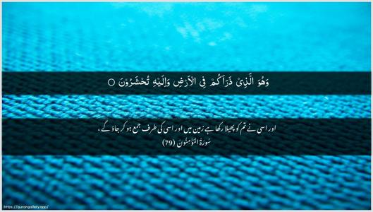 Al-Muminoon Ayah 79 - Arabic + Urdu wallpaper