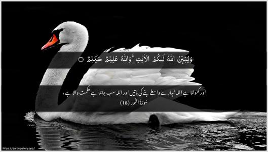 An-Noor Ayah 18 - Arabic + Urdu wallpaper