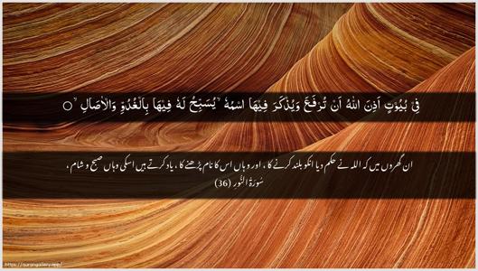 An-Noor Ayah 36 - Arabic + Urdu wallpaper