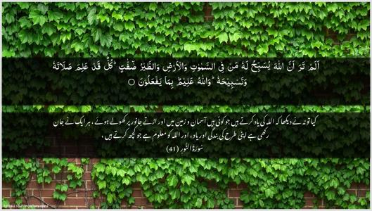 An-Noor Ayah 41 - Arabic + Urdu wallpaper
