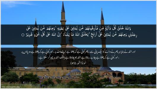An-Noor Ayah 45 - Arabic + Urdu wallpaper