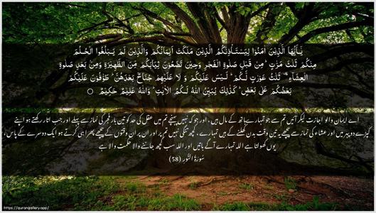 An-Noor Ayah 58 - Arabic + Urdu wallpaper