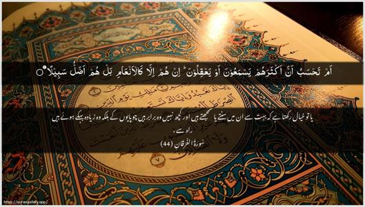 Al-Furqaan Ayah 44 - Arabic + Urdu wallpaper
