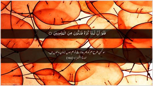 Ash-Shu"araa Ayah 102 - Arabic + Urdu wallpaper