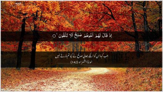 Ash-Shu"araa Ayah 142 - Arabic + Urdu wallpaper