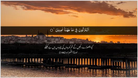 Ash-Shu"araa Ayah 146 - Arabic + Urdu wallpaper