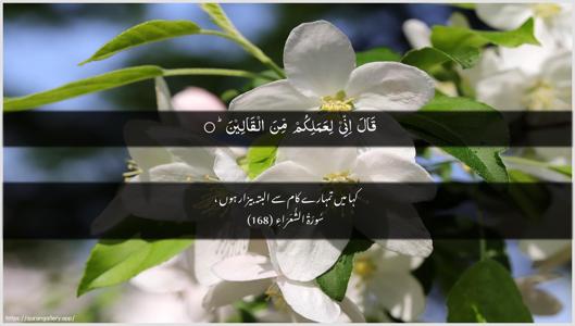 Ash-Shu"araa Ayah 168 - Arabic + Urdu wallpaper