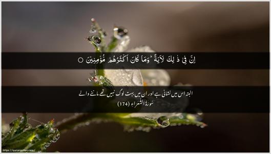 Ash-Shu"araa Ayah 174 - Arabic + Urdu wallpaper