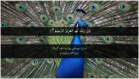 Ash-Shu"araa Ayah 175 - Arabic + Urdu wallpaper