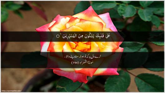 Ash-Shu"araa Ayah 194 - Arabic + Urdu wallpaper