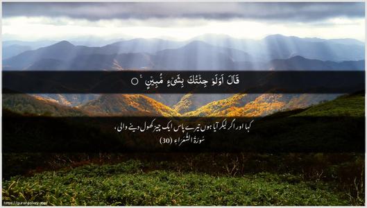 Ash-Shu"araa Ayah 30 - Arabic + Urdu wallpaper