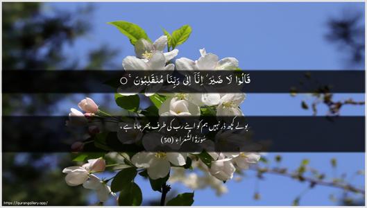 Ash-Shu"araa Ayah 50 - Arabic + Urdu wallpaper