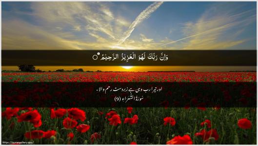 Ash-Shu"araa Ayah 9 - Arabic + Urdu wallpaper