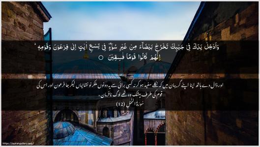 An-Naml Ayah 12 - Arabic + Urdu wallpaper