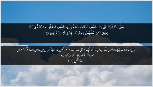 An-Naml Ayah 18 - Arabic + Urdu wallpaper