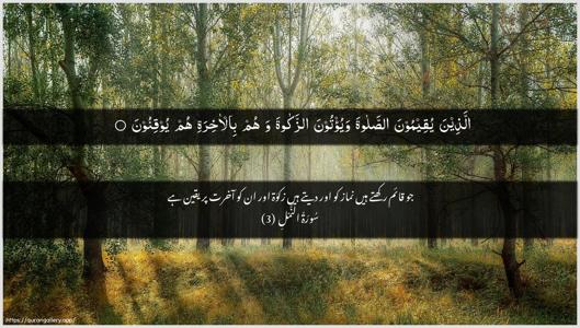 An-Naml Ayah 3 - Arabic + Urdu wallpaper