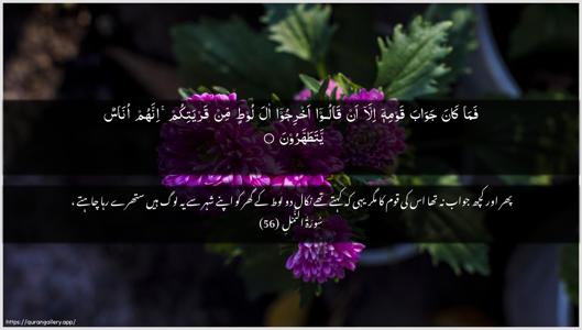 An-Naml Ayah 56 - Arabic + Urdu wallpaper