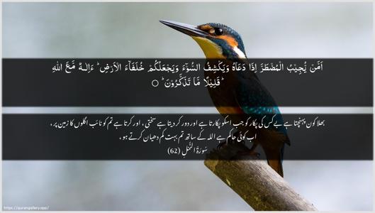An-Naml Ayah 62 - Arabic + Urdu wallpaper