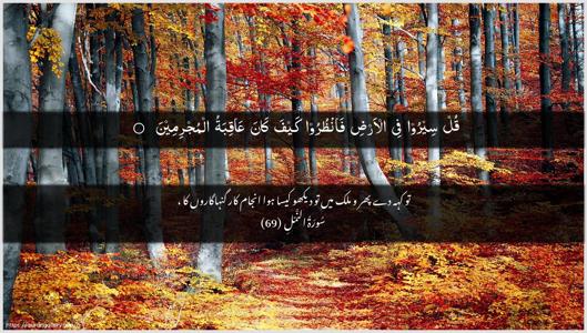 An-Naml Ayah 69 - Arabic + Urdu wallpaper