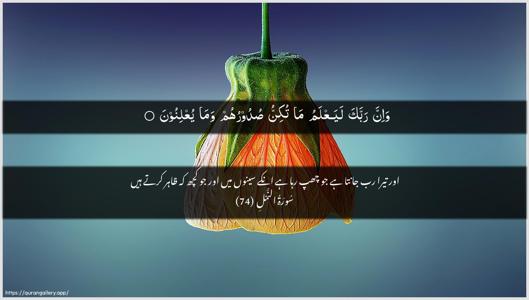 An-Naml Ayah 74 - Arabic + Urdu wallpaper