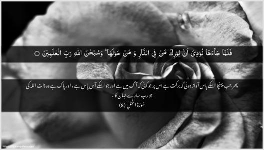 An-Naml Ayah 8 - Arabic + Urdu wallpaper