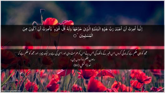 An-Naml Ayah 91 - Arabic + Urdu wallpaper