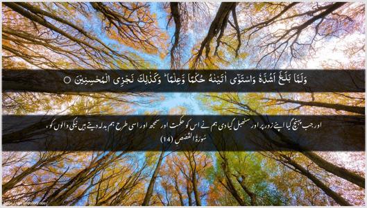 Al-Qasas Ayah 14 - Arabic + Urdu wallpaper
