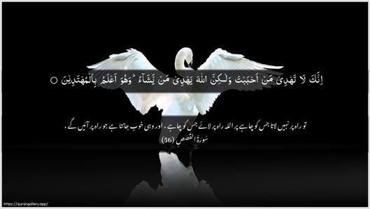 Al-Qasas Ayah 56 - Arabic + Urdu wallpaper