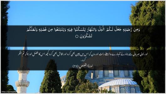 Al-Qasas Ayah 73 - Arabic + Urdu wallpaper