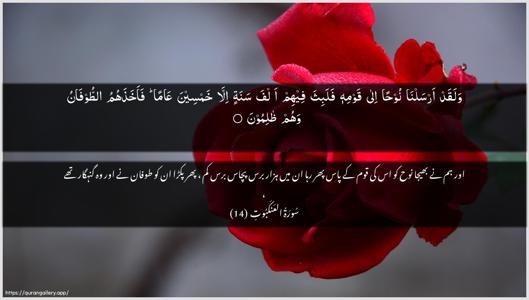 Al-Ankaboot Ayah 14 - Arabic + Urdu wallpaper