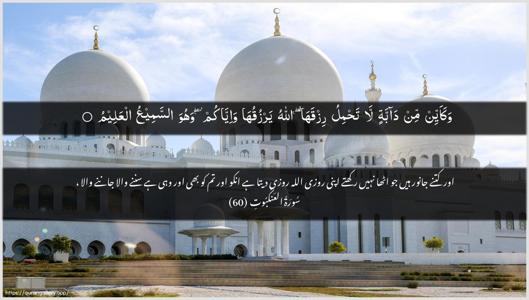 Al-Ankaboot Ayah 60 - Arabic + Urdu wallpaper