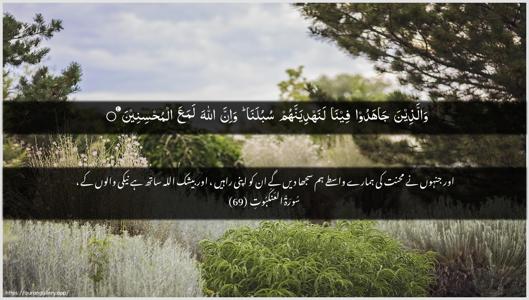 Al-Ankaboot Ayah 69 - Arabic + Urdu wallpaper