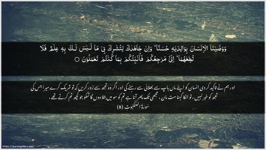 Al-Ankaboot Ayah 8 - Arabic + Urdu wallpaper