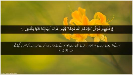 Al-Baqara Ayah 10 - Arabic + Urdu wallpaper