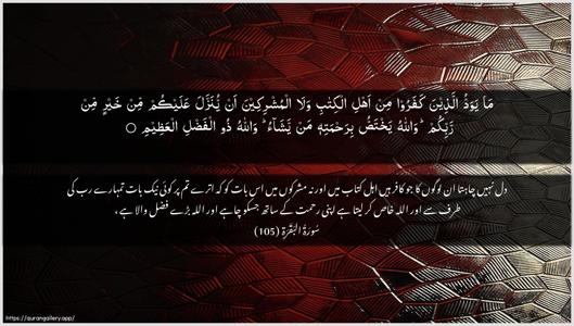 Al-Baqara Ayah 105 - Arabic + Urdu wallpaper