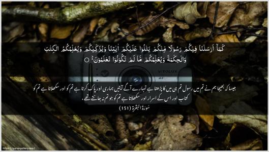 Al-Baqara Ayah 151 - Arabic + Urdu wallpaper