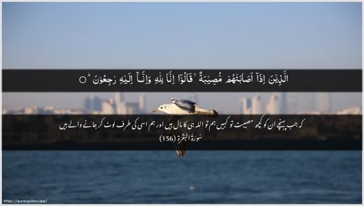 Al-Baqara Ayah 156 - Arabic + Urdu wallpaper