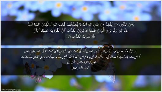 Al-Baqara Ayah 165 - Arabic + Urdu wallpaper