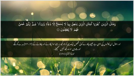 Al-Baqara Ayah 171 - Arabic + Urdu wallpaper