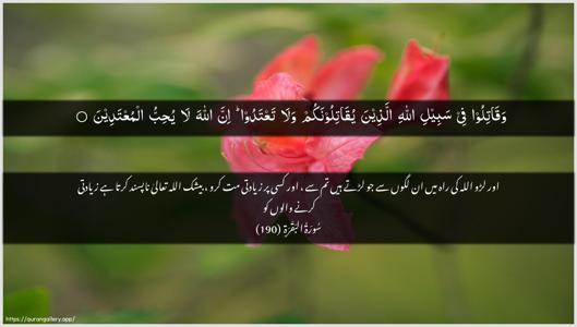 Al-Baqara Ayah 190 - Arabic + Urdu wallpaper