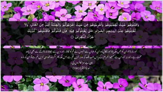 Al-Baqara Ayah 191 - Arabic + Urdu wallpaper