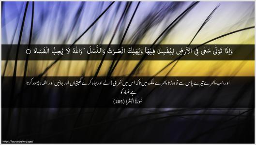 Al-Baqara Ayah 205 - Arabic + Urdu wallpaper