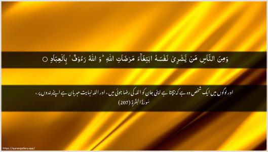 Al-Baqara Ayah 207 - Arabic + Urdu wallpaper