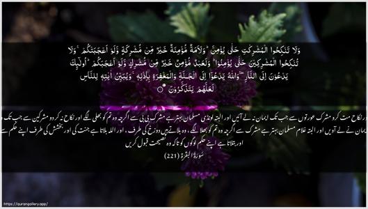Al-Baqara Ayah 221 - Arabic + Urdu wallpaper
