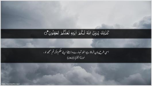 Al-Baqara Ayah 242 - Arabic + Urdu wallpaper