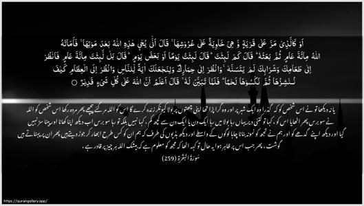 Al-Baqara Ayah 259 - Arabic + Urdu wallpaper